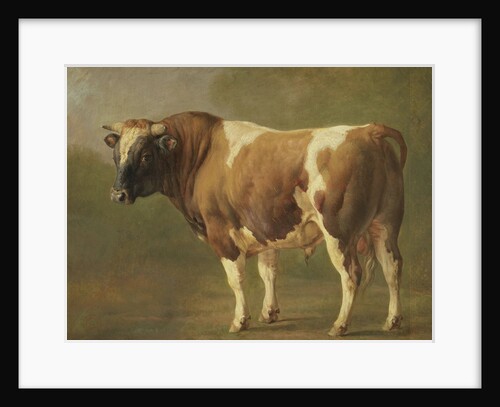 Study of a Bull by Jacques Raymond Brascassat