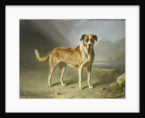 Saint Bernard Dog by Bernard te Gempt