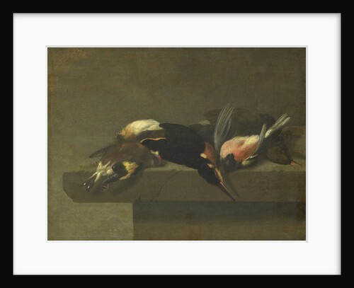 Dead Birds by Jan Vonck