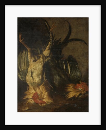 Dead roosters by Christoffel Puytlinck
