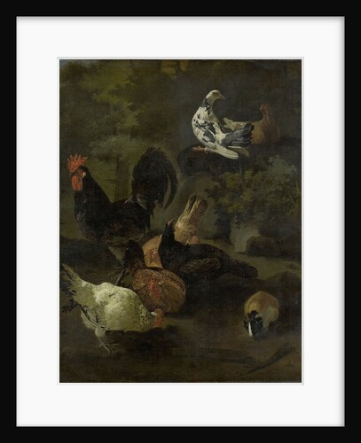 A Cock, Hens, Doves, and a Marmot by Jacomo Victors