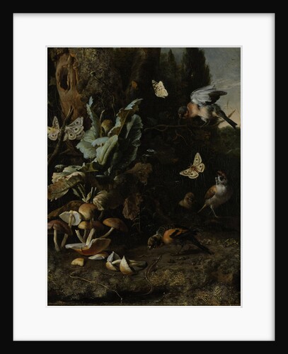 Animals and Plants by Melchior d' Hondecoeter