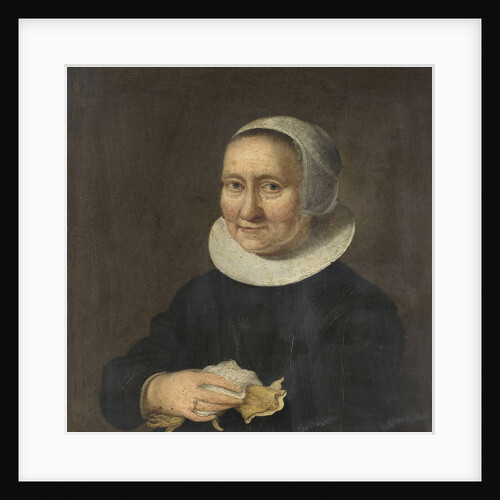 Portrait of a Woman by Herman Meynderts Doncker