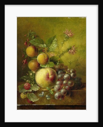 Stilleven met vruchten by Willem Hekking I