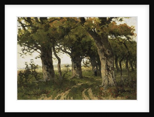 Oak avenue in late summer by Maria Bilders-van Bosse