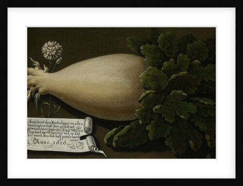 A Giant Radish by Anonymous