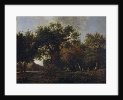View of a Forest by Jan van Kessel