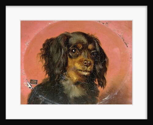 Portrait of a dog by Guillaume Anne van der Brugghen