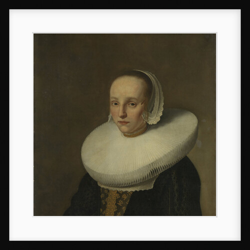 Portrait of Anna van der Does, Wife of Jan de Hooghe by Paulus Hennekyn