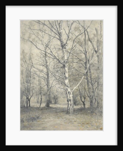Forest of birch trees by Alphonse Stengelin