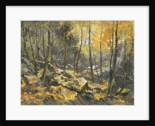 Felsenmeer by Egbert Rubertus Derk Schaap