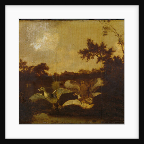 A Buzzard Attacks two Ducks by Dirck Wijntrack