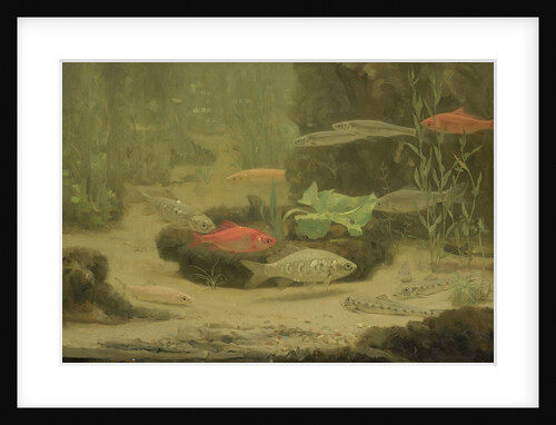 Gold and silver fish in an aquarium by Gerrit Willem Dijsselhof