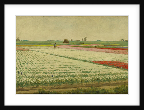 Tulip Fields by Gerrit Willem Dijsselhof