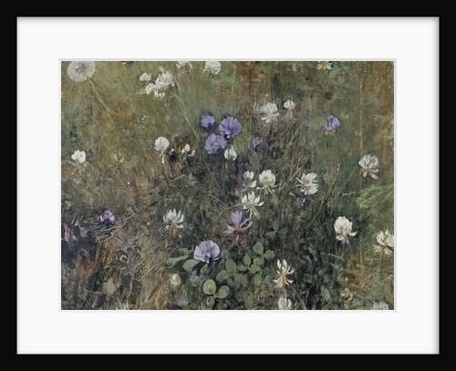 Clover flowers by Jac van Looij