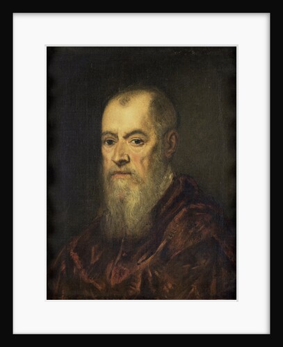 Portrait of a Man with a Red Cloak by Jacopo Tintoretto
