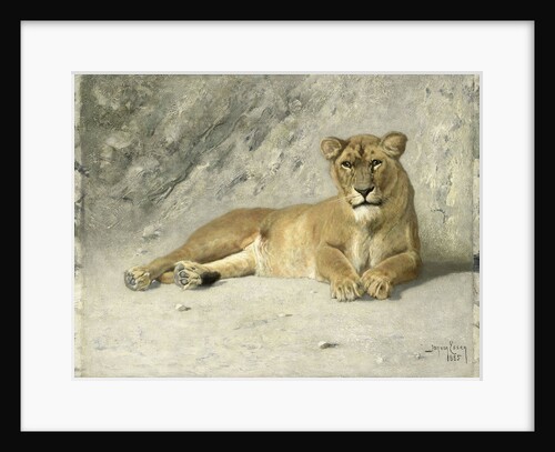 Resting lioness by Jan van Essen