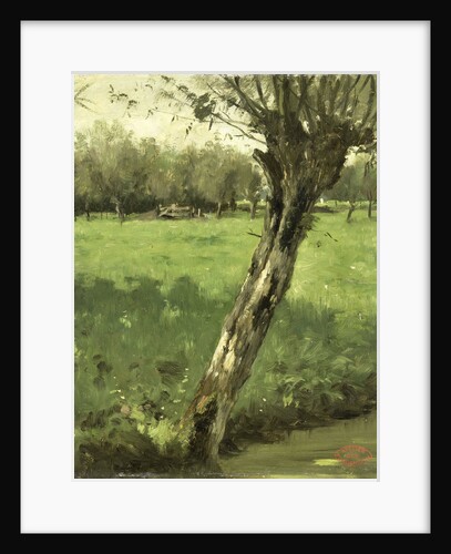 Willow by Geo Poggenbeek