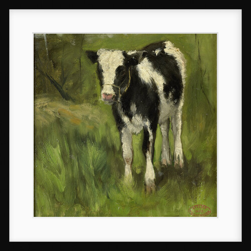Calf, black and white spotted by Geo Poggenbeek