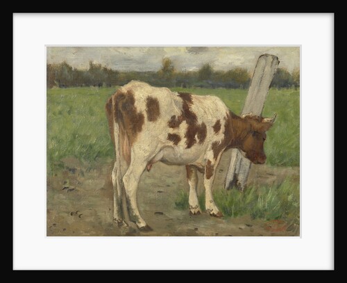 Cow by Geo Poggenbeek