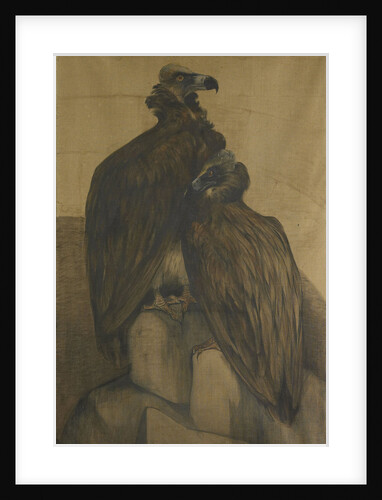 Two vultures by Theo van Hoytema
