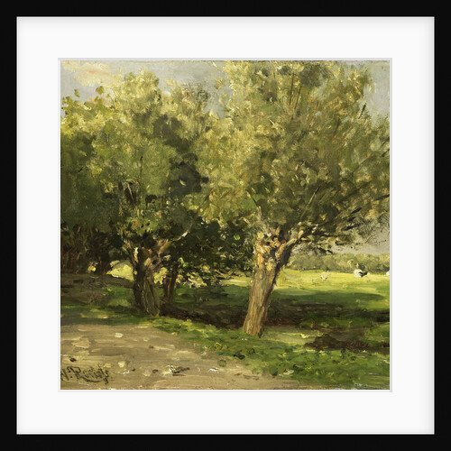 Willows by Willem Roelofs I