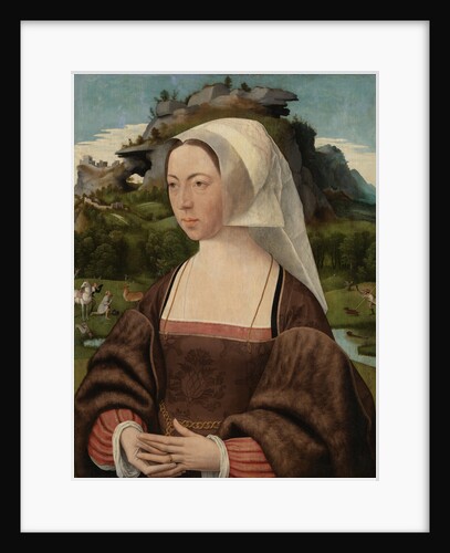 Portrait of an Unknown Woman by Jan Jansz Mostaert