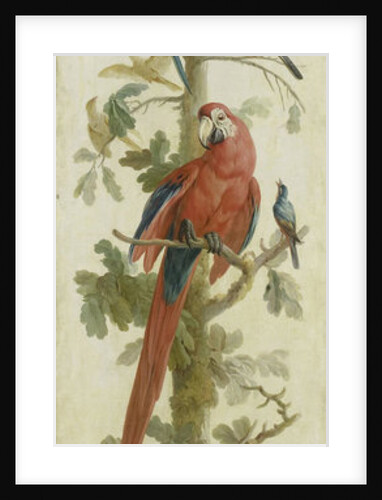 Decorative Depiction with Plants and Animals by Anonymous