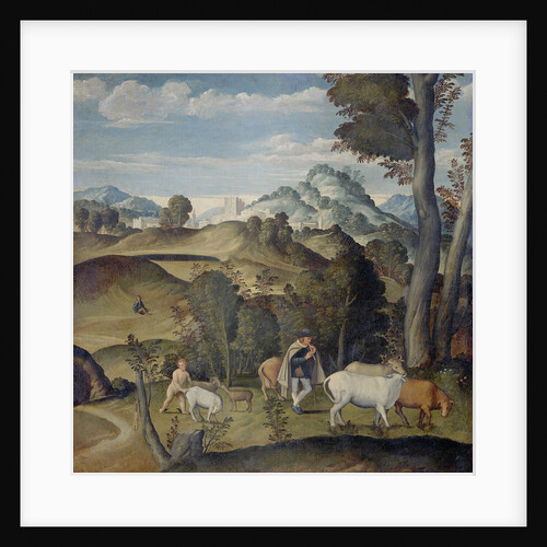 Young Mercury Stealing Cattle from Apollo's Herd by Girolamo da Santa Croce