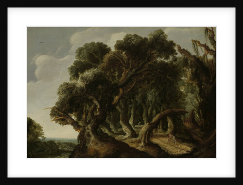 Wooded Landscape by Jacob Jacobsz van Geel