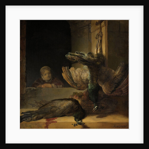 Still Life with Peacocks by Rembrandt Harmensz. van Rijn