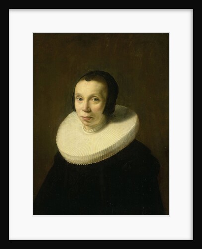 Portrait of a Woman by Abraham de Vries