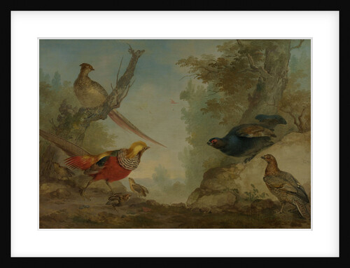 Pheasants by Aert Schouman
