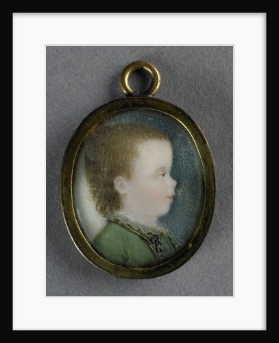 Willem George Frederik by Pieter Lesage
