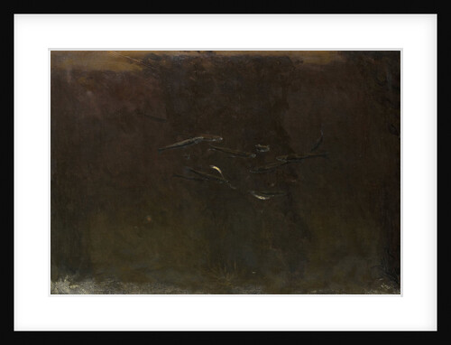 Fish in an aquarium by Gerrit Willem Dijsselhof