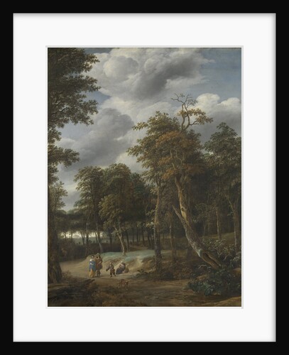 Forest Road by Jan Looten