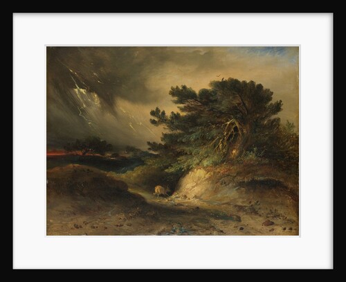 The Thunderstorm by Johannes Tavenraat
