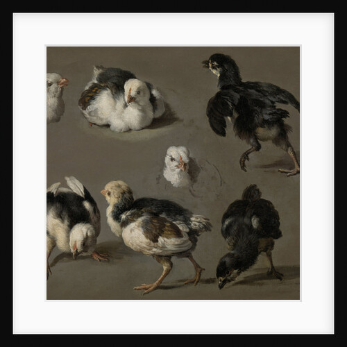 Seven Chicks by Melchior d' Hondecoeter