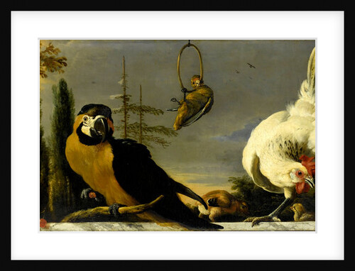 Birds on a Balustrade by Melchior d' Hondecoeter