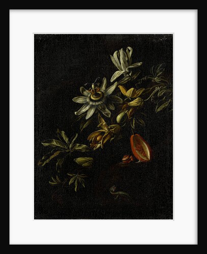 Still Life with Passion Flowers by Elias van den Broeck