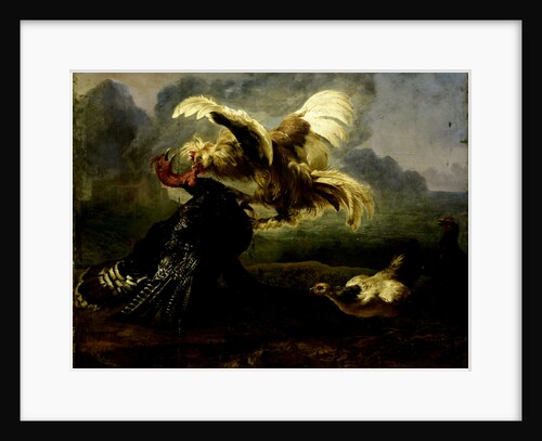 Fighting Birds by Anonymous
