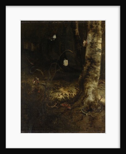 Forest Floor with a Snake, Lizards, Butterflies and other Insects by Otto Marseus van Schrieck