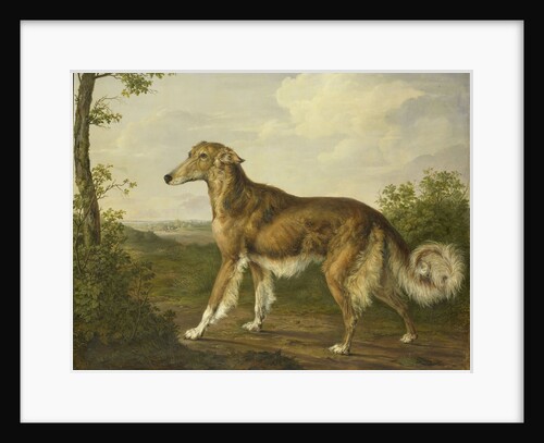 Siberian Greyhound by Jan Dasveldt