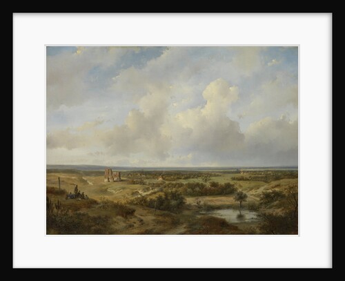View of Haarlem, The Netherlands by Andreas Schelfhout