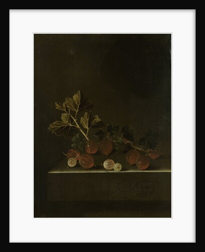A Sprig of Gooseberries on a Stone Plinth by Adriaen Coorte