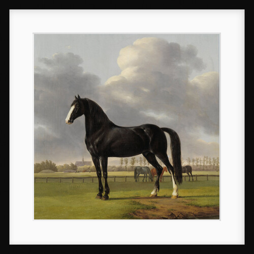 Adriaan van der Hoop’s Trotter ‘De Vlugge’, The Fast One in a Meadow by Anthony Oberman