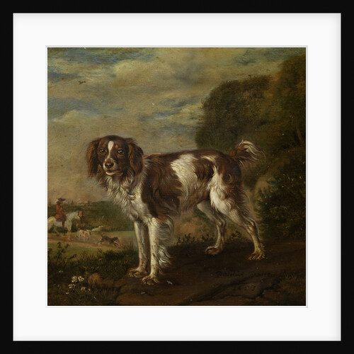A spaniel by Paulus Potter