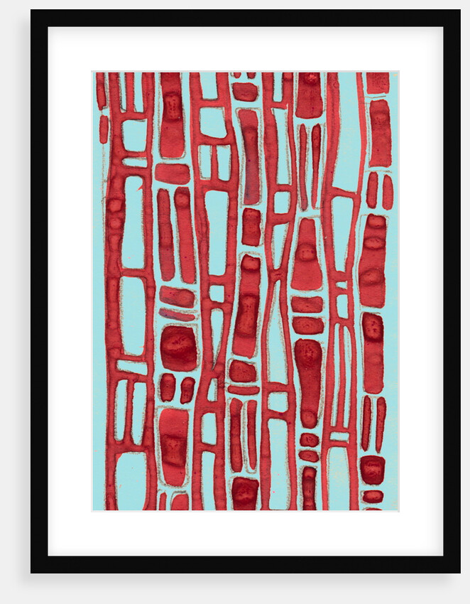 Organic abstraction 1 by Heinrich Martin