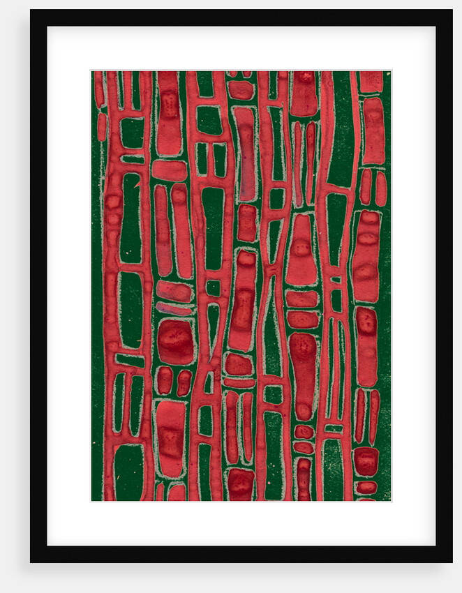 Organic abstraction 2 by Heinrich Martin