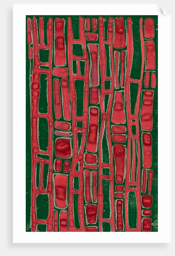 Organic abstraction 2 by Heinrich Martin